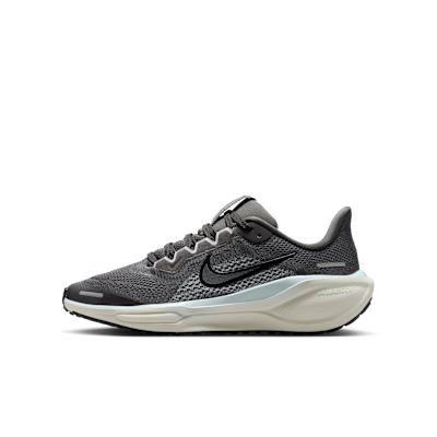 Nike Pegasus 41