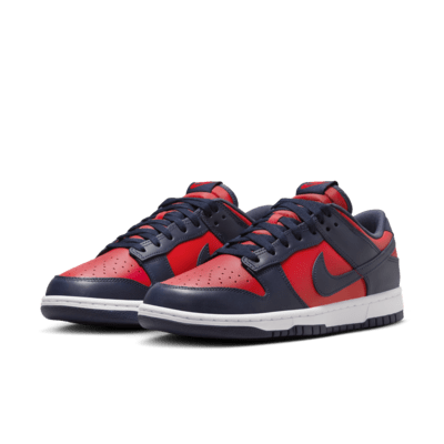 Nike Dunk Low Retro Men's Shoes