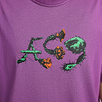 ナイキ ACG ウィメンズ ショートスリーブ Tシャツ