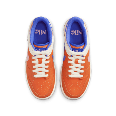 Calzado para niños grandes Nike Dunk Low SE