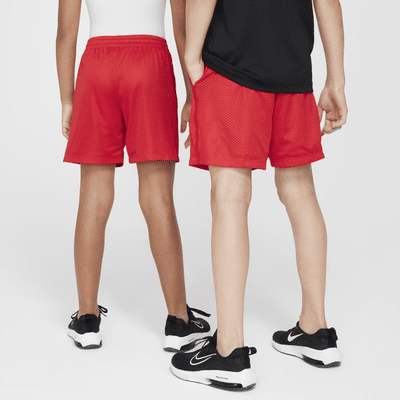 Nike Multi Older Kids' (Boys') Dri-FIT Shorts