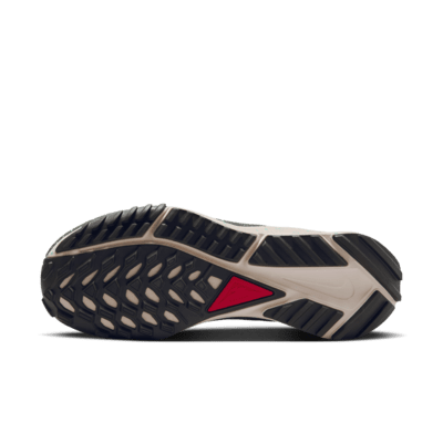 Nike Pegasus Trail 4 GORE-TEX | Image 1