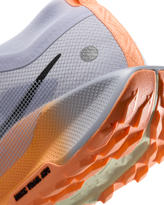 Nike Pegasus Trail 5 GORE-TEX