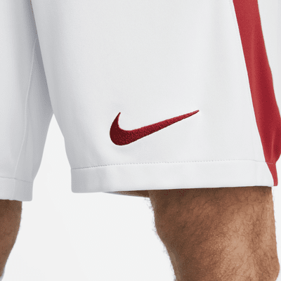 Galatasaray 2023/24 Stadium Away Men's Nike Dri-FIT Football Shorts