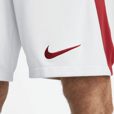 Galatasaray 2023/24 Stadium Away Men's Nike Dri-FIT Football Shorts ...
