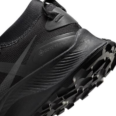 nike pegasus gore tex men