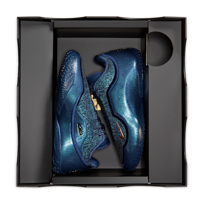 LeBron XXIII 'Best In Class' Basketball Shoes