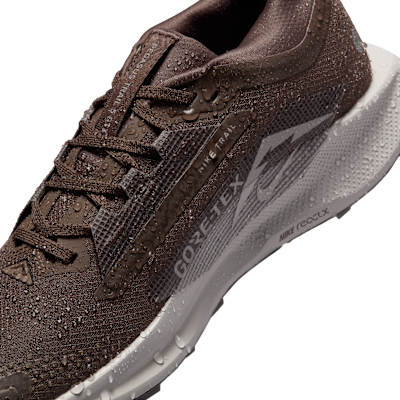 Nike Pegasus Trail 5 GORE-TEX waterdichte trailrunningschoenen voor dames