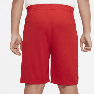 Nike Dri-FIT Trophy Big Kids' (Boys') Printed Training Shorts (Extended Size)