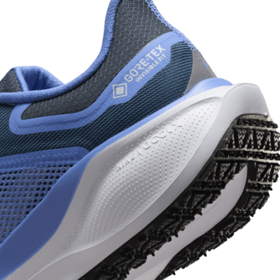 Nike Pegasus 41 GORE-TEX wasserdichter Straßenlaufschuh (Damen)