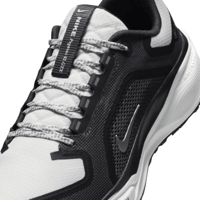 Nike Pegasus 41 GORE-TEX wasserdichter Straßenlaufschuh (Damen)