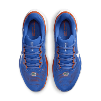 Tenis de correr en pavimento universitarios Nike para hombre Florida Pegasus 41