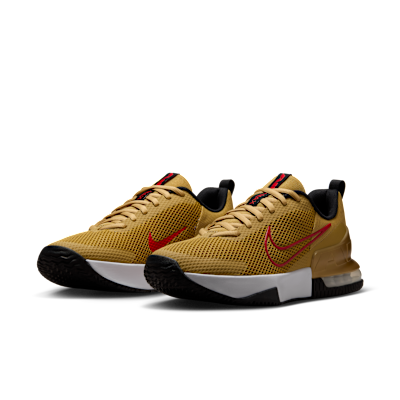 Nike Air Max Alpha Trainer 6 Men's Workout Shoes