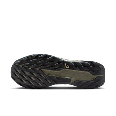 Nike Pegasus Trail 5 GORE-TEX Zapatillas de trail running impermeables - Hombre