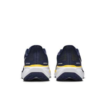 Tenis de correr en pavimento universitarios Nike para hombre Michigan Pegasus 41