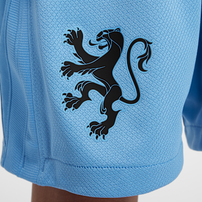 Netherlands 2025/26 Stadium Away Older Kids' Nike Dri-FIT Football Replica Shorts