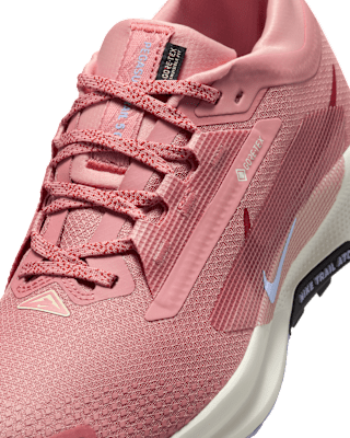 Nike Pegasus Trail 5 GORE-TEX