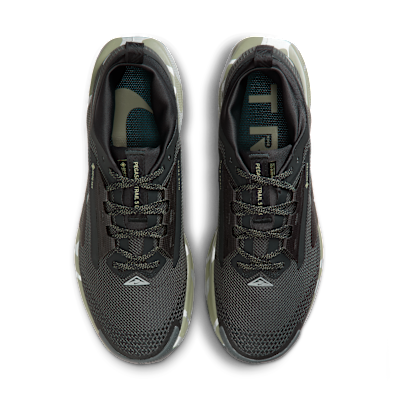 Nike Pegasus Trail 5 GORE-TEX Zapatillas de trail running impermeables - Hombre
