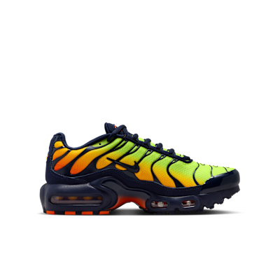 Nike Air Max Plus Big Kids' Shoes