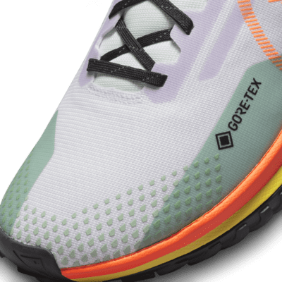 Nike React Pegasus Trail 4 GORE-TEX Men 