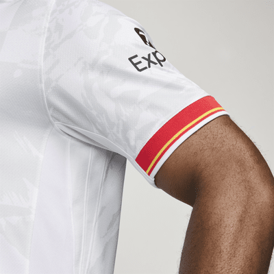 Liverpool FC 2024/25 Stadium Derde Nike Dri-FIT replicavoetbalshirt voor heren