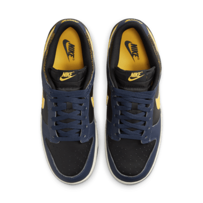 Nike Dunk Low Retro Men's Shoes