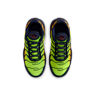 Nike Air Max Plus Little Kids' Shoes