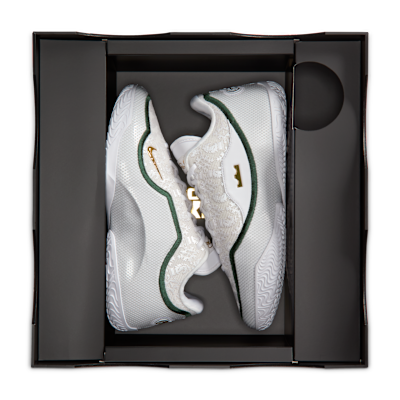 LeBron XXIII 'Point Forward' EP Basketball Shoes