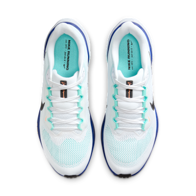 Nike Pegasus 41 Men's Road Running Shoes