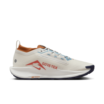 Scarpa impermeabile da trail running Nike Pegasus Trail 5 GORE-TEX – Uomo