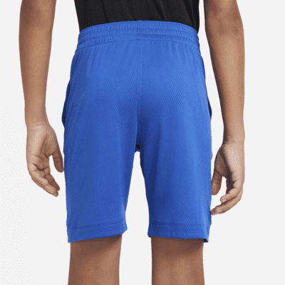 Nike Trophy Older Kids' (Boys') Training Shorts