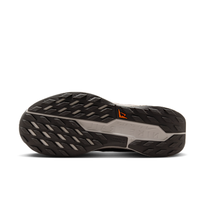Nike Pegasus Trail 5 Traillaufschuh (Damen)