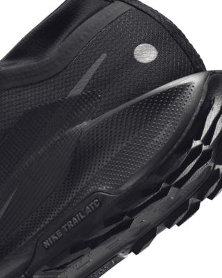 Nike Pegasus Trail 5 GORE-TEX