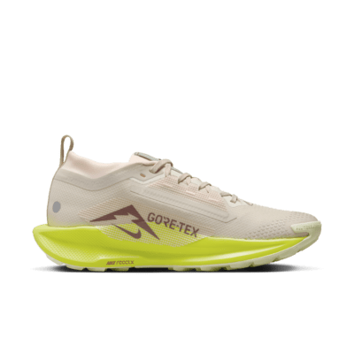 Scarpa impermeabile da trail running Nike Pegasus Trail 5 GORE-TEX – Donna