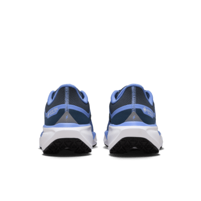 Nike Pegasus 41 GORE-TEX wasserdichter Straßenlaufschuh (Damen)