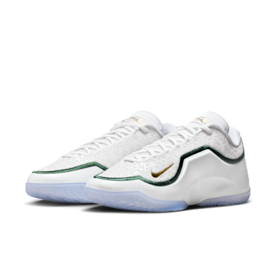 LeBron XXIII 'From This Point Forward' Basketball Shoes