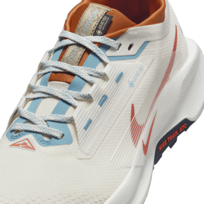 Nike Pegasus Trail 5 GORE-TEX Su Geçirmez Arazi Tipi Erkek Koşu Ayakkabısı