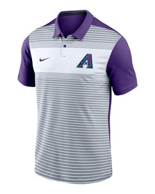 Мужские  Arizona Diamondbacks City Connect Legacy Icon Vapor Nike Dri-FIT MLB Polo