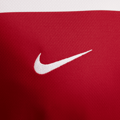 Kroatië 2024/25 Stadium Thuis Nike Dri-FIT replica voetbalshirt voor heren