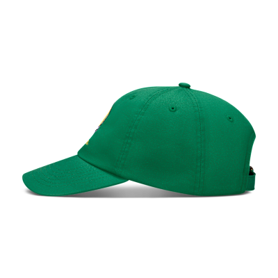 Nike "Steal Your Duck" Men's "Dad" Cap