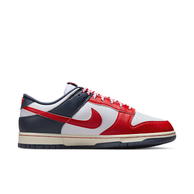 Nike Dunk Low Retro Men's Shoes