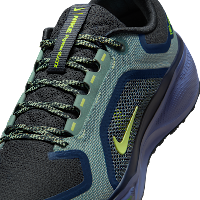 Nike Pegasus 41 GORE-TEX Men's Waterproof Road Running Shoes