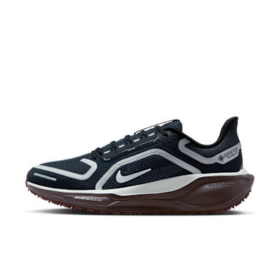Nike Pegasus 41 GORE-TEX