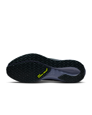 Nike Pegasus 41 GORE-TEX