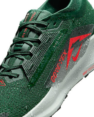 Nike Pegasus Trail 5 GORE-TEX
