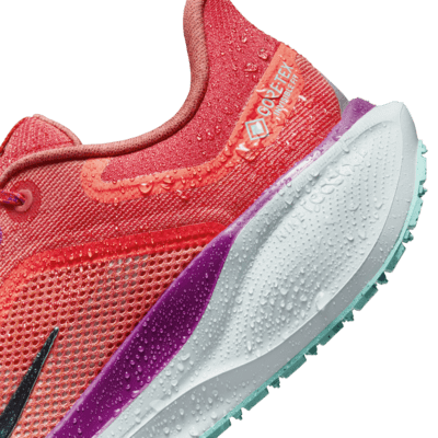 Scarpa impermeabile da running su strada Nike Pegasus 41 GORE-TEX – Uomo