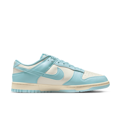 Nike Dunk Low Retro Men's Shoes