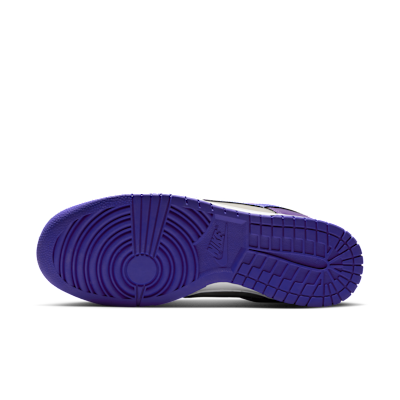 Nike Dunk Low Retro Men's Shoes