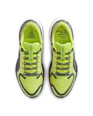 Nike Pegasus 41 GORE-TEX