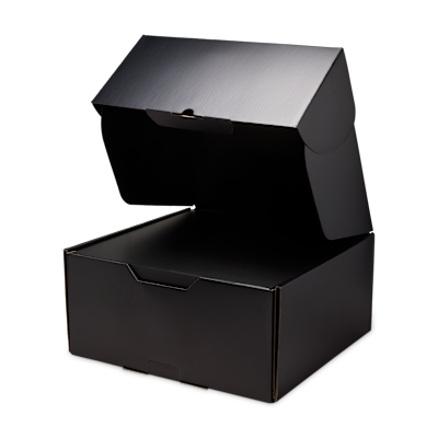 LeBron XXIII 'Best In Class' Basketball Shoes